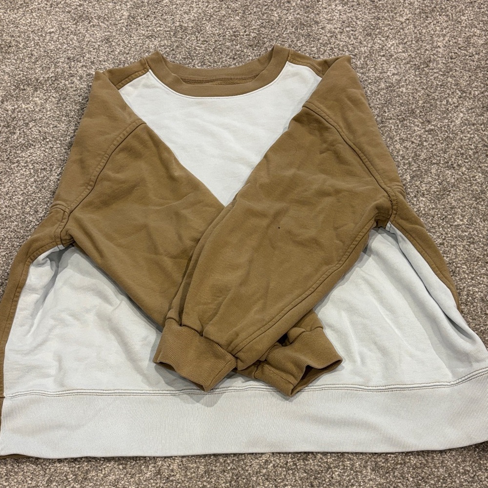 Everlane Brown and Blue Organic Cotton Crewneck